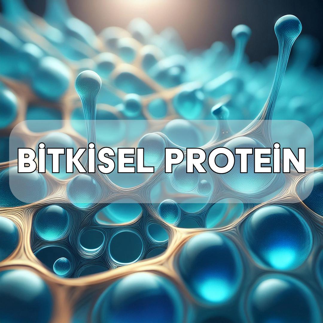 Plant-Based Proteins