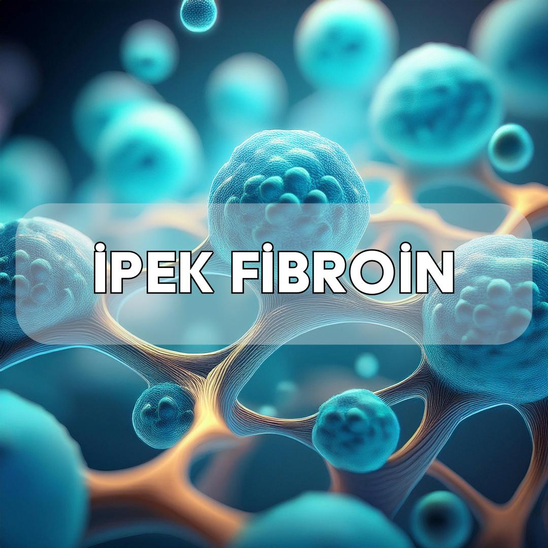 Silk Fibroin